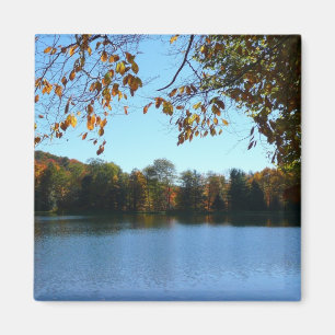 Aimant Sept sources Automnes Arbres et Étang