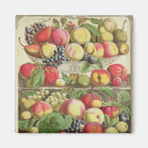 Aimant Septembre, à partir de "Douze mois de fruits"