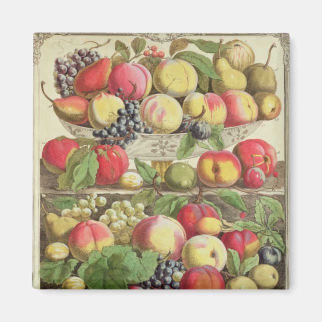 Aimant Septembre, à partir de "Douze mois de fruits" (Devant)