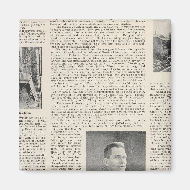 Aimant Séquoia de Sonoma, Californie (Devant)