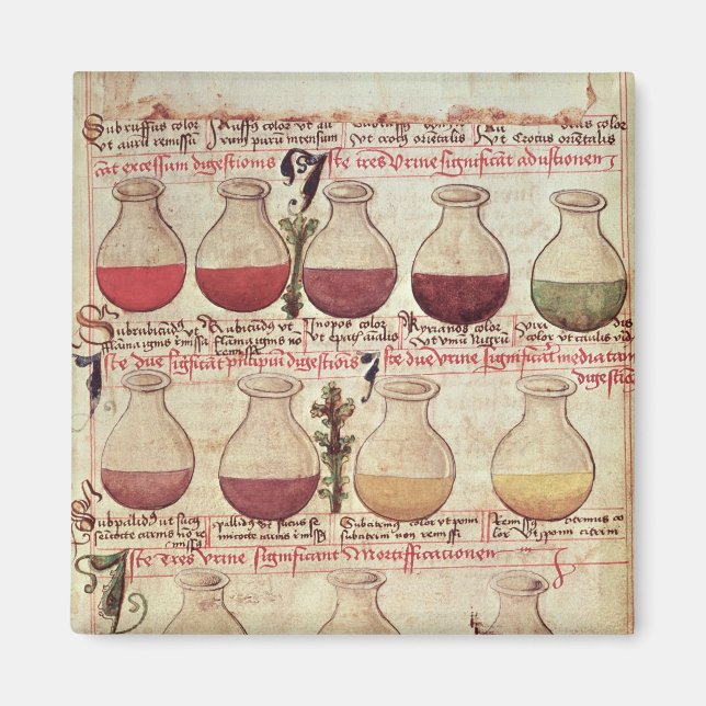 Aimant Série de flagons pour l'analyse d'urine (Devant)