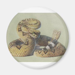 Aimant Serpent à sonnettes