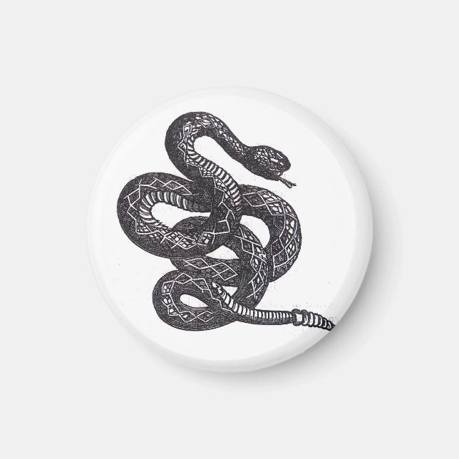 Aimant Serpent Crotalus Cascavella (Vipère à Piton Venime (Devant)