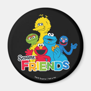 Aimant Sesame Street   Amis de Sesame