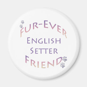 Aimant Setter Furever anglais