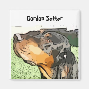 Aimant Setter Gordon
