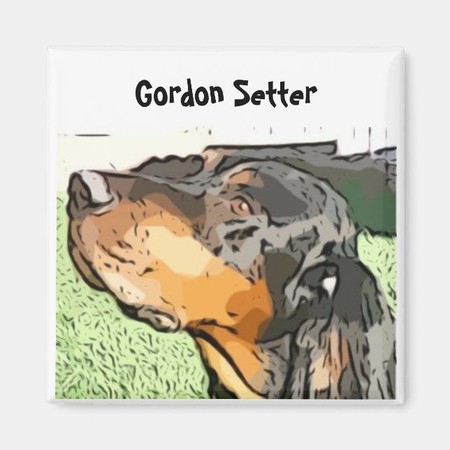 Aimant Setter Gordon (Devant)
