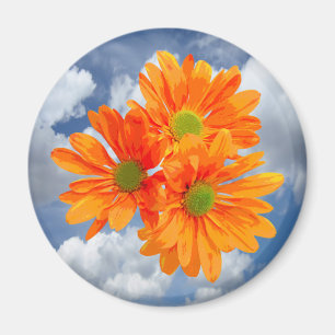 Aimant Seulement 3 Gerbera Daisy Blossoms + votre texte e