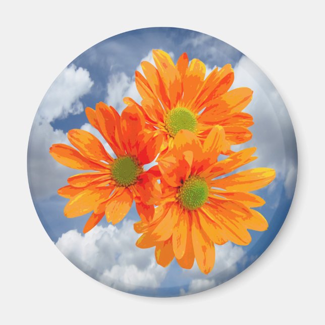 Aimant Seulement 3 Gerbera Daisy Blossoms + votre texte e (Devant)