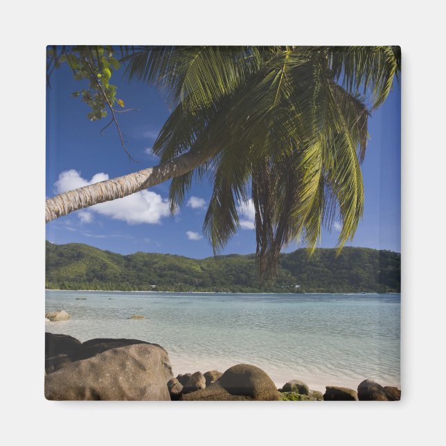 Aimant Seychelles, île de Mahe, Anse à la Mouche (Devant)