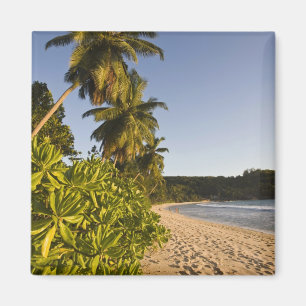 Aimant Seychelles, île de Mahe, plage d'Anse Takamaka,