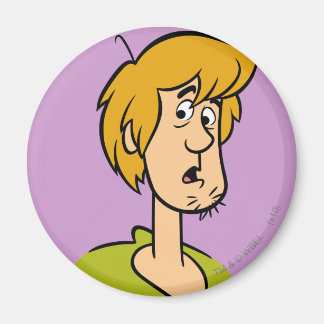 Aimant Shaggy Surprise
