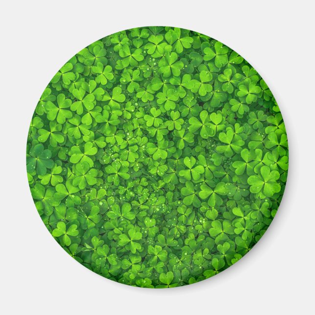 Aimant Shamrock Clovers Green Irish Symbol Ireland (Devant)