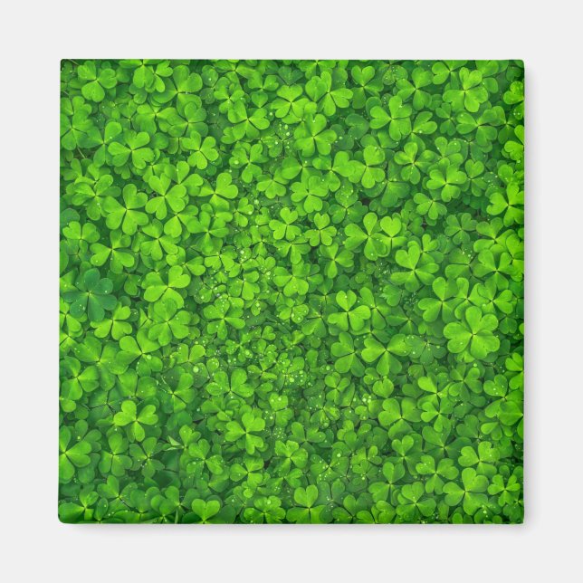 Aimant Shamrock green, St. Patrick's Day, (Devant)