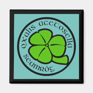 Aimant Shamrock Turquoise vert Saint Patrick's Day Floral