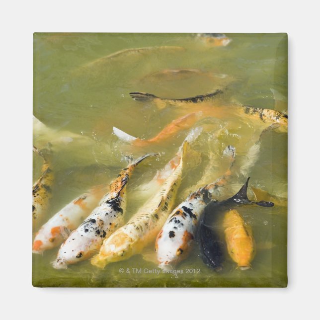 Aimant Shanghai, Chine (Devant)