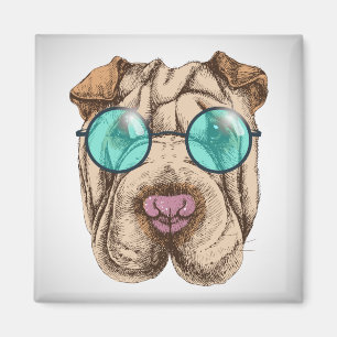 Aimant Sharpei dans les lunettes de soleil