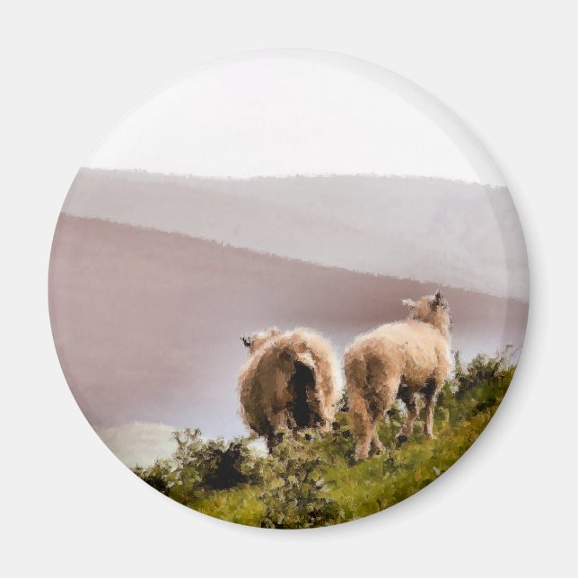 AIMANT SHEEP (Devant)