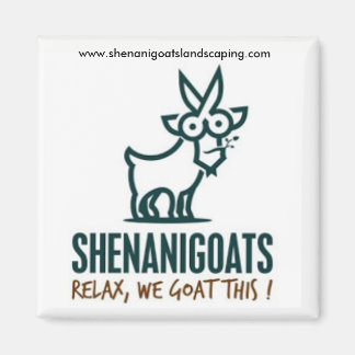 Aimant Shenanigoats...ne nous oubliez jamais !