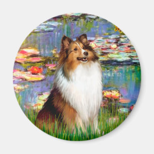 Aimant Shetland Sheepdog (Bz) - Lilies 2
