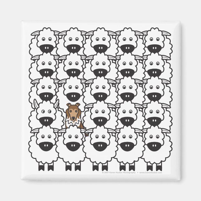 Aimant Shetland Sheepdog dans l'aimant Sheep (Devant)