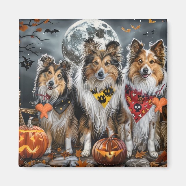 Aimant Shetland Sheepdog Halloween Éffrayant (Devant)
