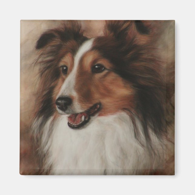 Aimant Shetland Sheepdog Sheltie sourire (Devant)