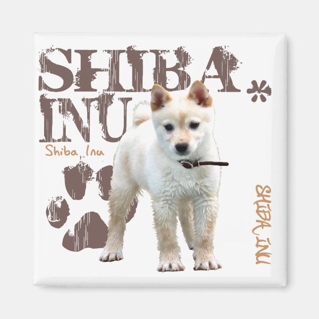 Aimant Shiba Inu (Devant)