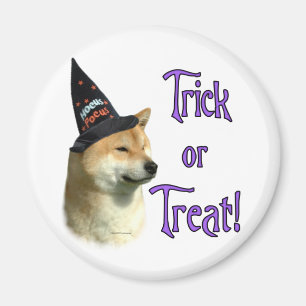 Aimant Shiba Inu Trick