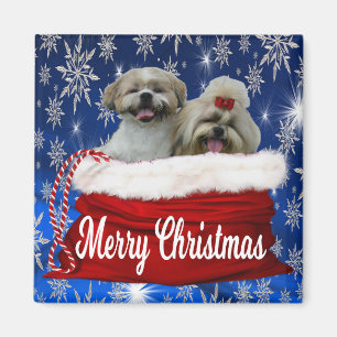 Aimant Shih tzu Christma