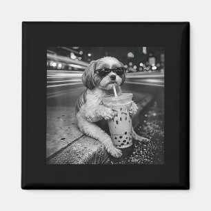 Aimant Shih tzu drôle buvant du café glacé amateurs de ch