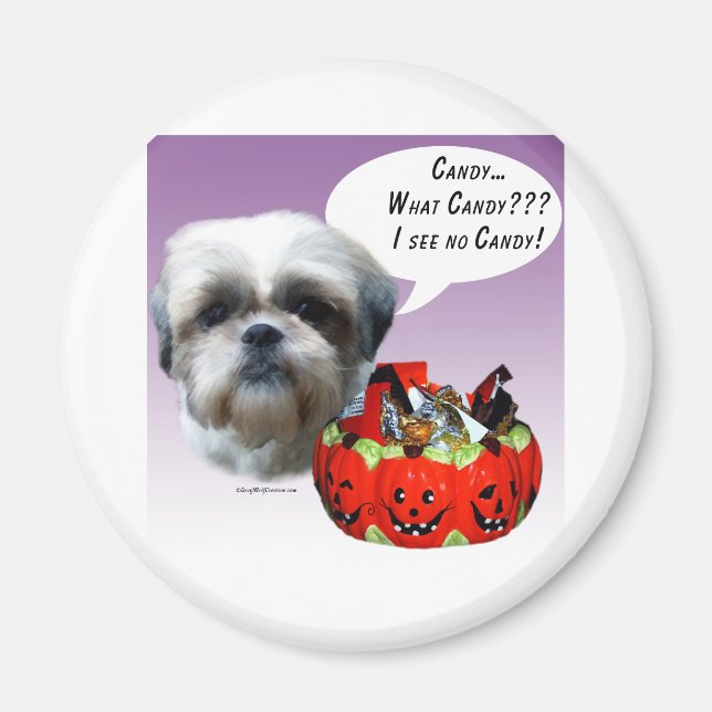 Aimant Shih Tzu (naturel) Halloween Candy (Devant)