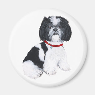 Aimant Shih Tzu Noir & Blanc