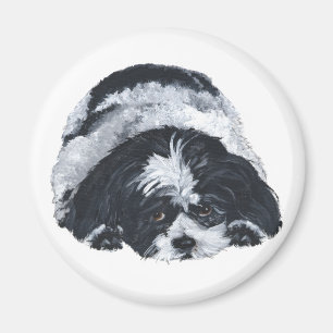 Aimant Shih Tzu noir et blanc