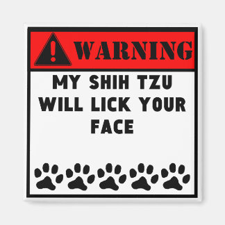 Aimant Shih Tzu Va Tirer Ton Visage