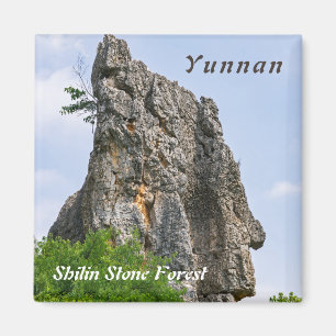 Aimant Shilin pinnacles Forêt de pierre - Yunnan, Chine,