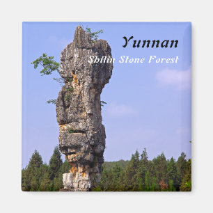 Aimant Shilin pinnacles Forêt de pierre - Yunnan, Chine,