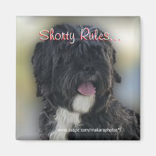 Aimant Shorty Lhasa Apso-Shih Tzu Magnet-personnaliser