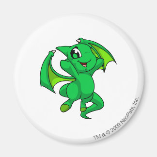 Aimant Shoyru Green