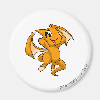 Aimant Shoyru Orange