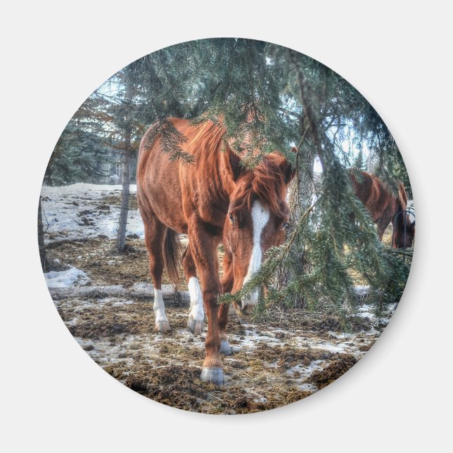 Aimant Shy Sorrel Mare and Branches Horse-lover Gift (Devant)