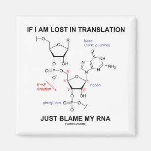 Aimant Si je suis blâme de Lost in Translation juste mon