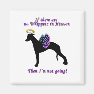 Aimant S'il n'y a aucun whippet