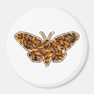 Aimant Silhouette de cycle de vie de mite en soie de Mori