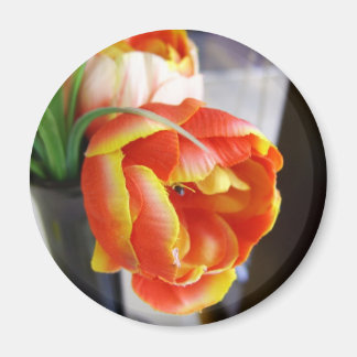 Aimant Silk Tulip
