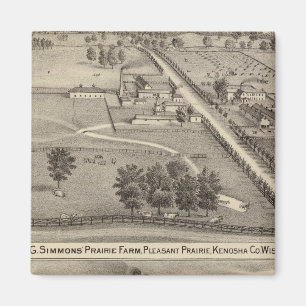 Aimant Simmon's Prairie Farm, Kenosha Water Cure