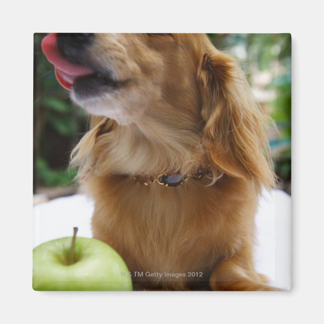 Aimant Singapour 5 (Devant)