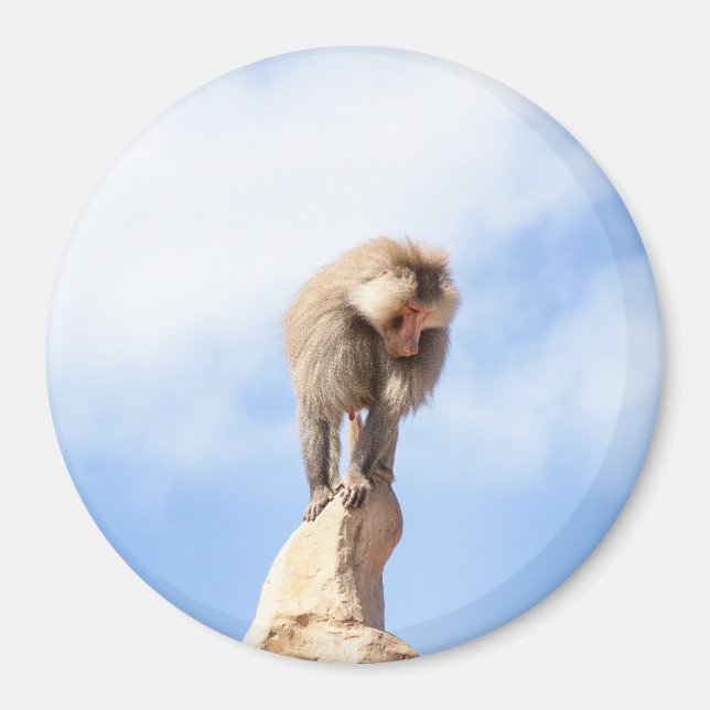 Aimant Singe babouin au sommet d'une montagne (Devant)