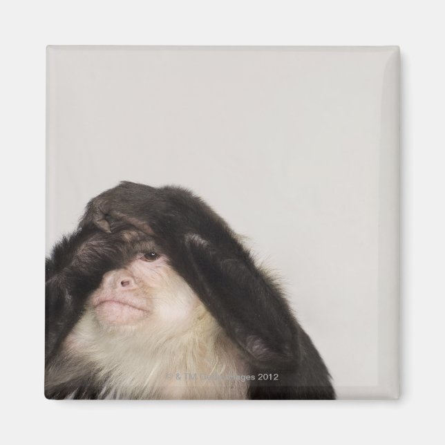 Aimant Singe couvrant les yeux (Devant)