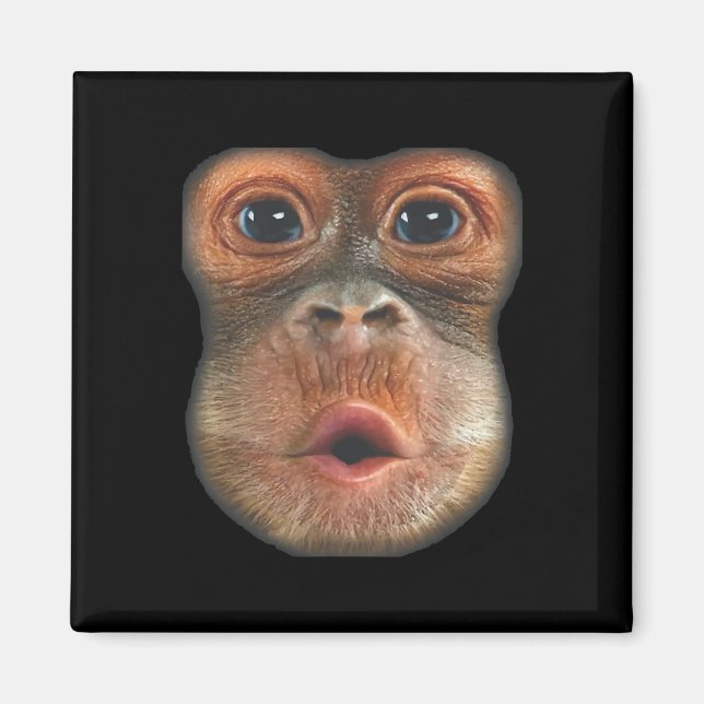 Aimant Singe qui gonfle le visage  (Devant)